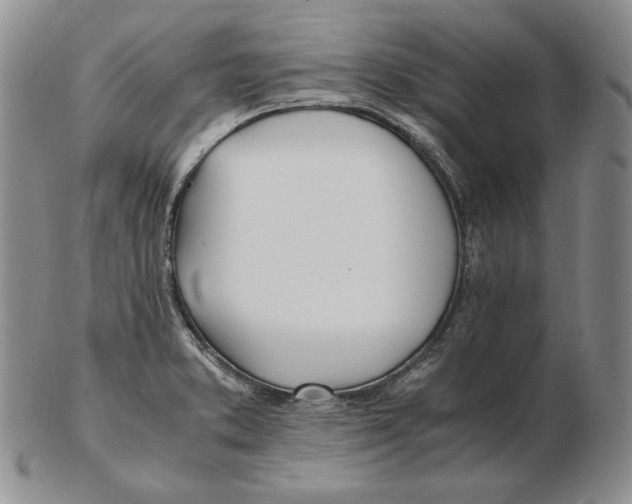 X0000102371373200808221729