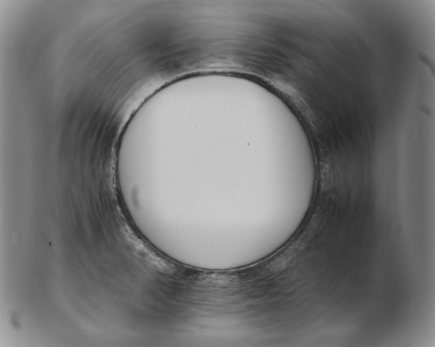 X0000102371374200808221729