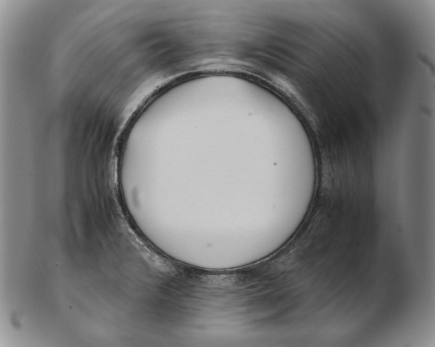 X0000102371376200808221729