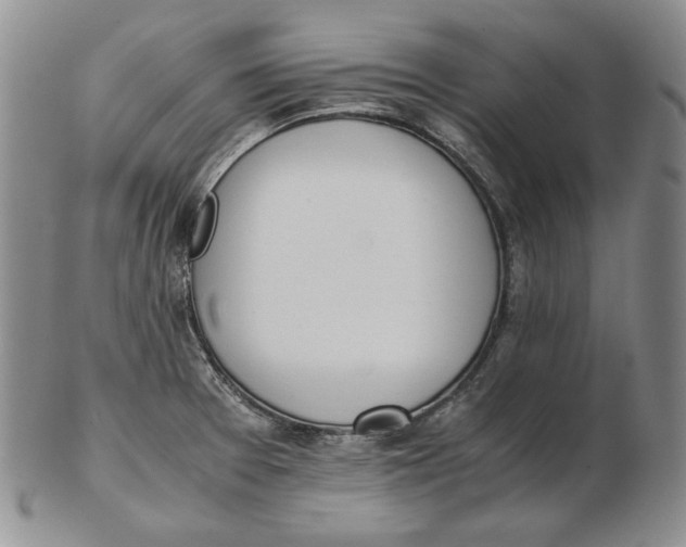 X0000102371377200808221729