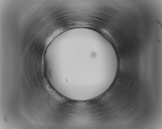 X0000102371378200808221729