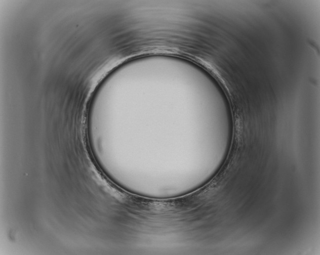 X0000102371379200808221729