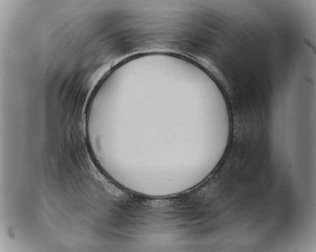 X0000102371380200808221729