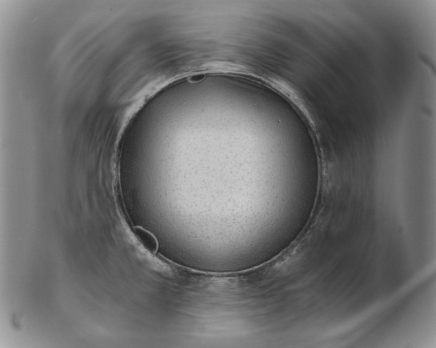 X0000102371381200808221729