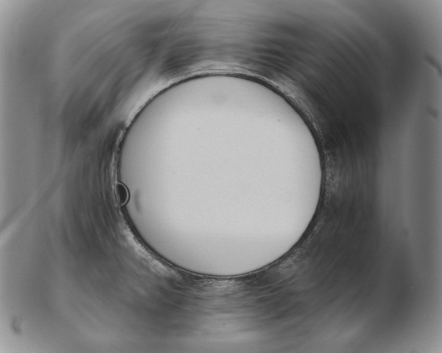 X0000102371382200808221729