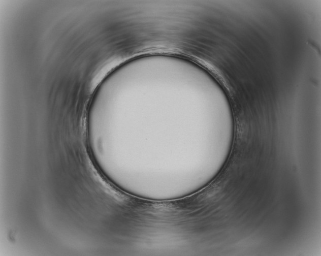 X0000102371383200808221729