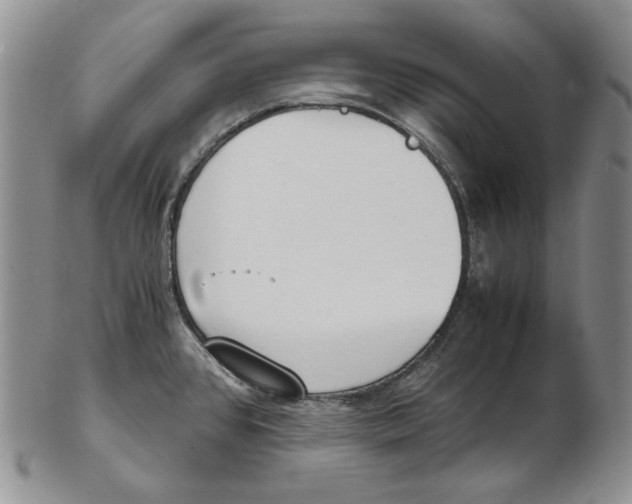 X0000102371384200808221729