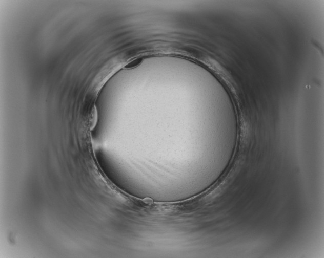 X0000102371385200808221729