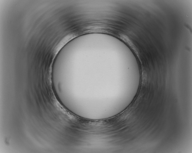 X0000102371386200808221729