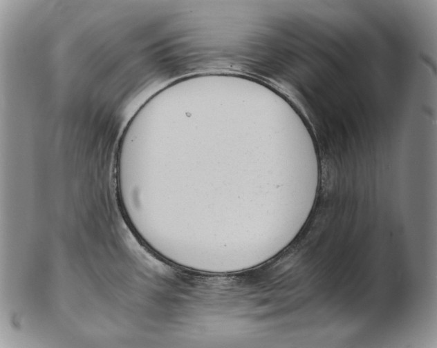 X0000102371387200808221729