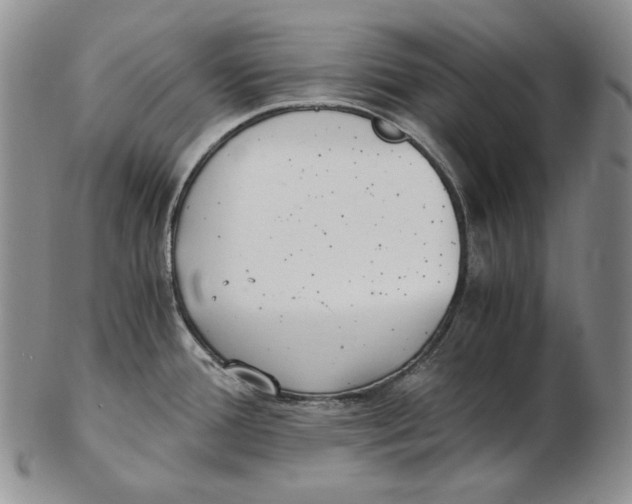 X0000102371388200808221729