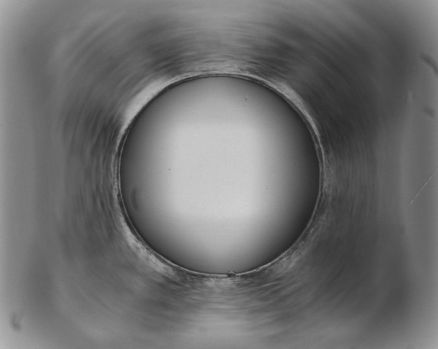 X0000102371389200808221729