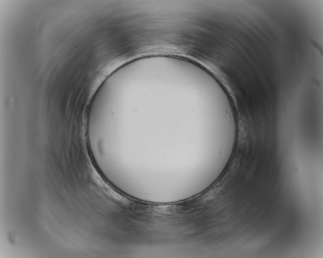 X0000102371390200808221729