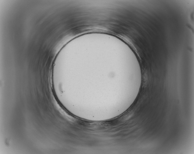 X0000102371391200808221729