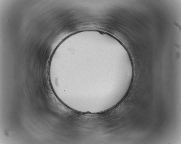 X0000102371392200808221729