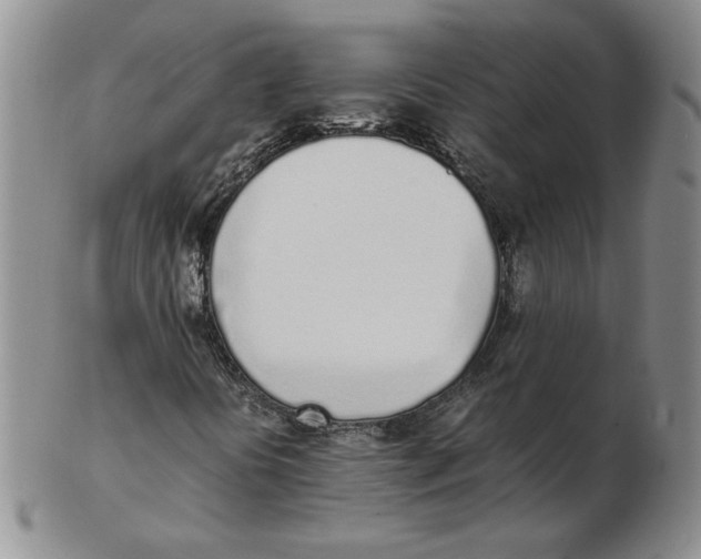 X0000102371394200808221728