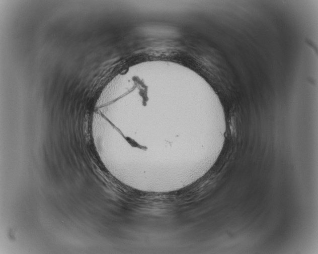 X0000102371396200808221728