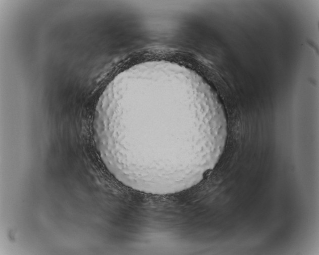 X0000102371397200808221728