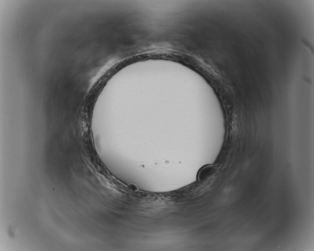 X0000102371400200808221728