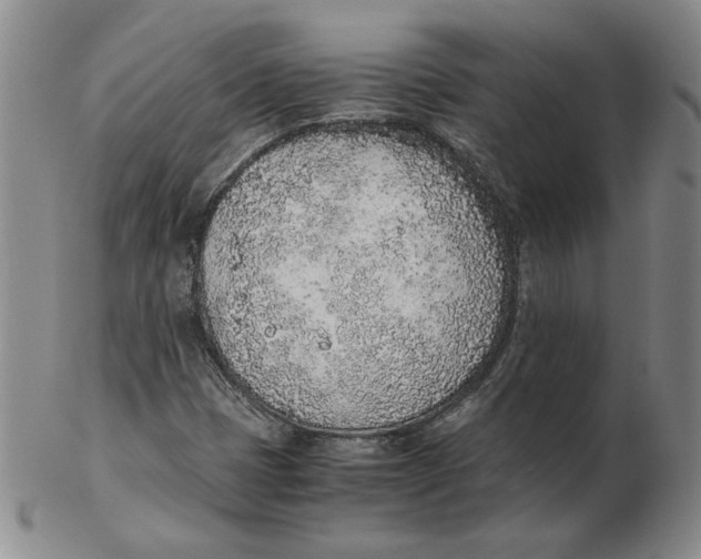 X0000102371401200808221728