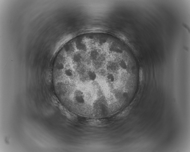 X0000102371405200808221728