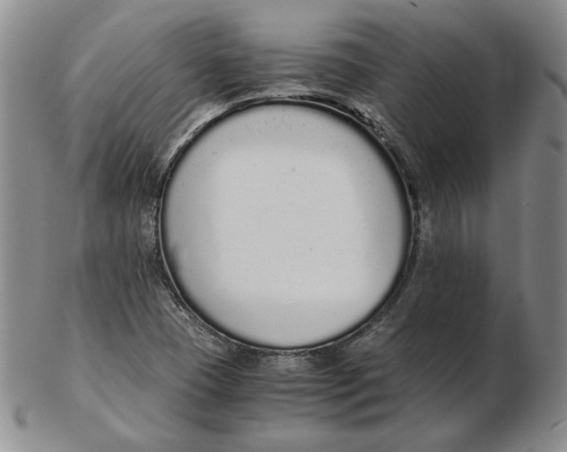 X0000102371409200808221728