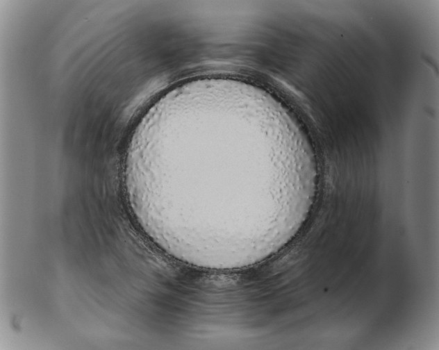 X0000102371411200808221728