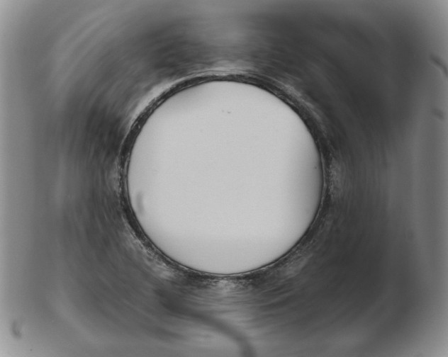 X0000102371412200808221728