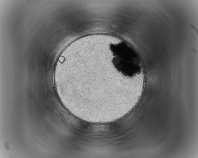 X0000102371413200808221728