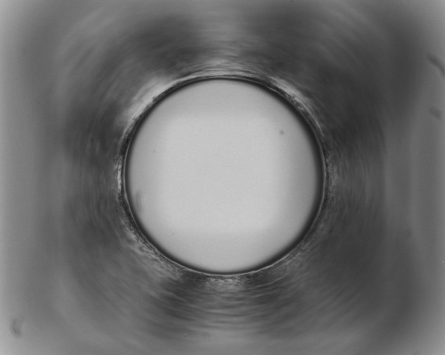 X0000102371415200808221728