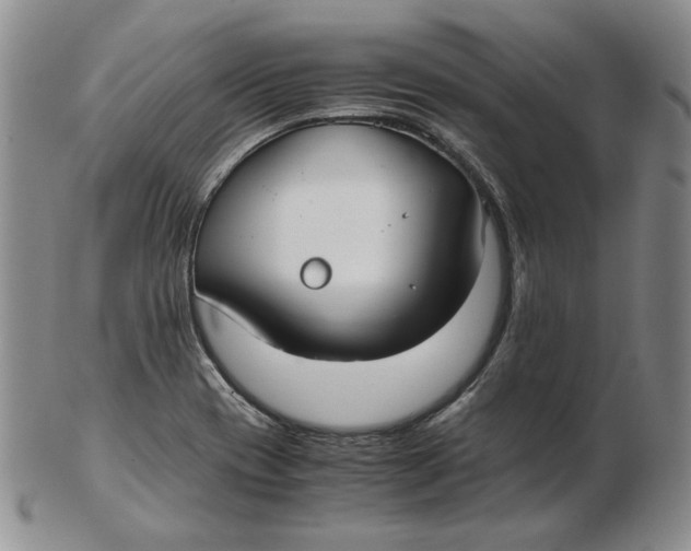 X0000102371417200808221728