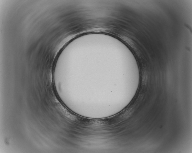 X0000102371420200808221728