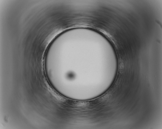 X0000102371423200808221728