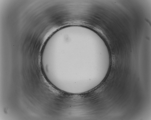 X0000102371424200808221728