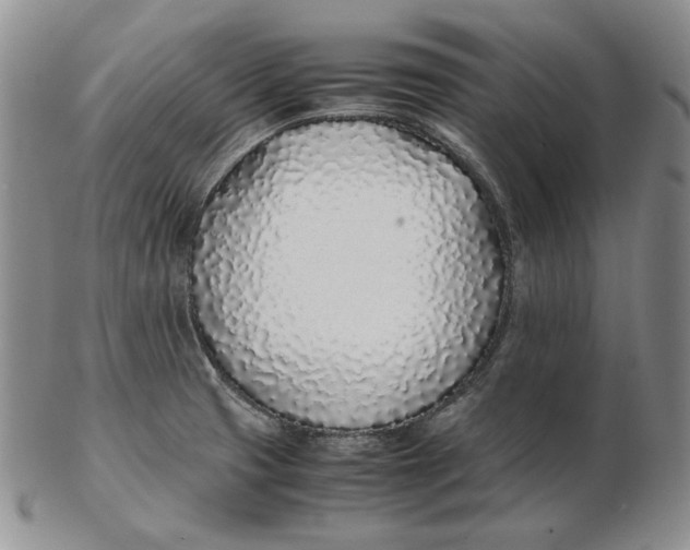 X0000102371425200808221728