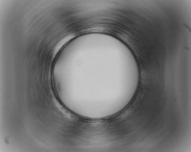 X0000102371426200808221728