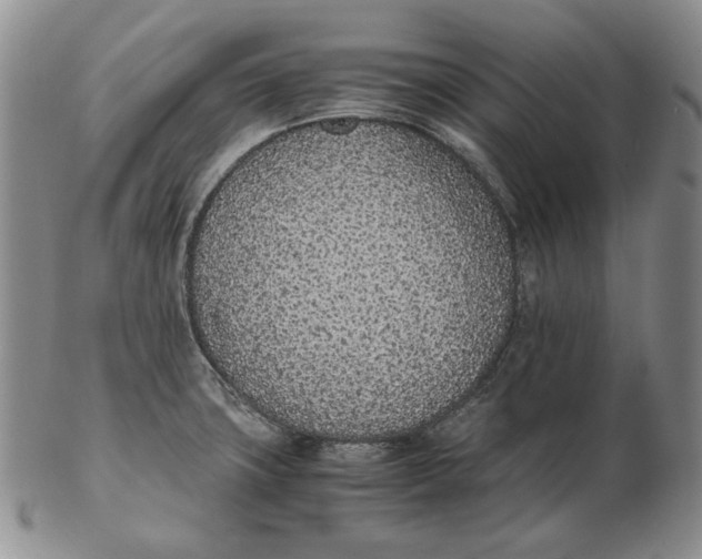 X0000102371427200808221728