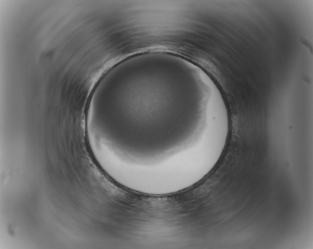 X0000102371428200808221728