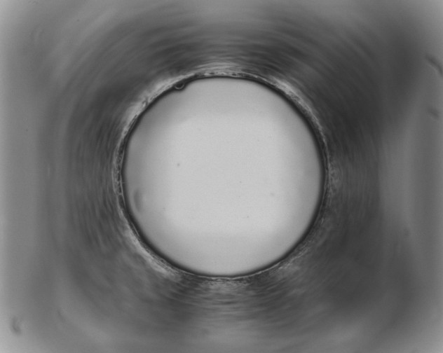 X0000102371429200808221728