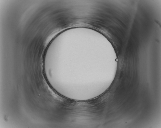 X0000102371430200808221728