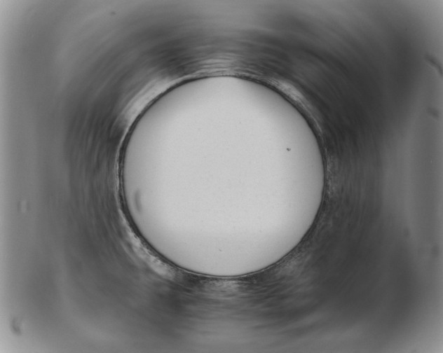 X0000102371431200808221728