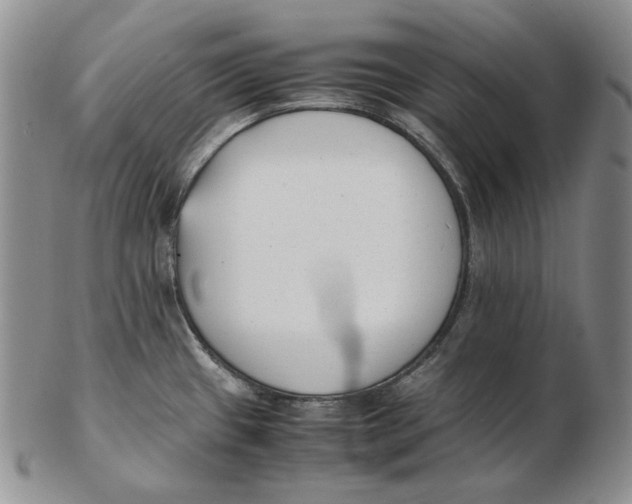 X0000102371433200808221728