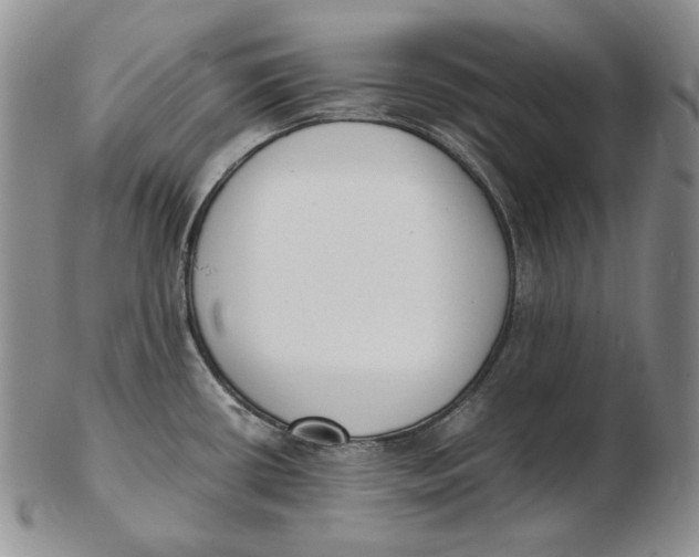 X0000102371434200808221728