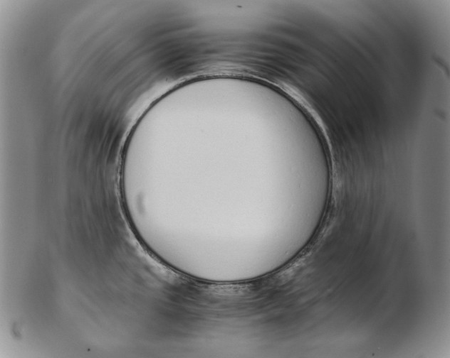 X0000102371437200808221728