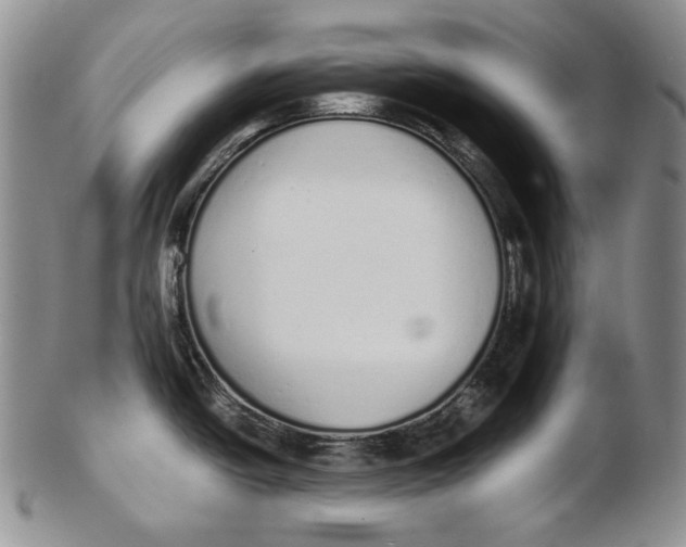 X0000102371438200808221728