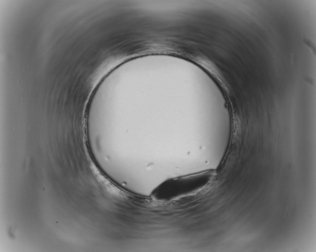 X0000102371439200808221728