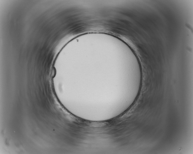 X0000102371440200808221729