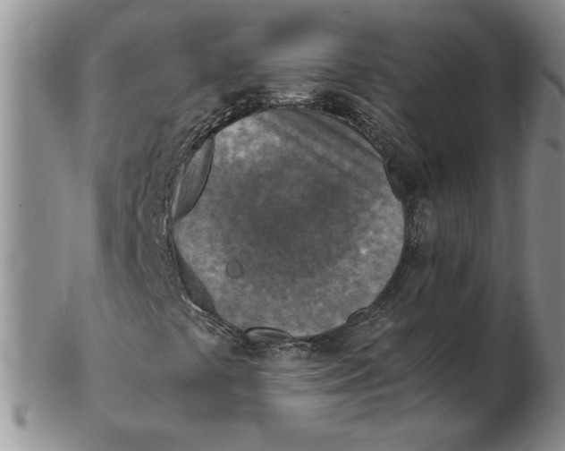 X0000102371441200808221728