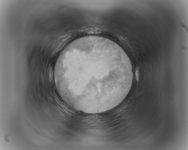 X0000102371444200808221728