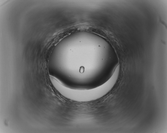 X0000102371445200808221728